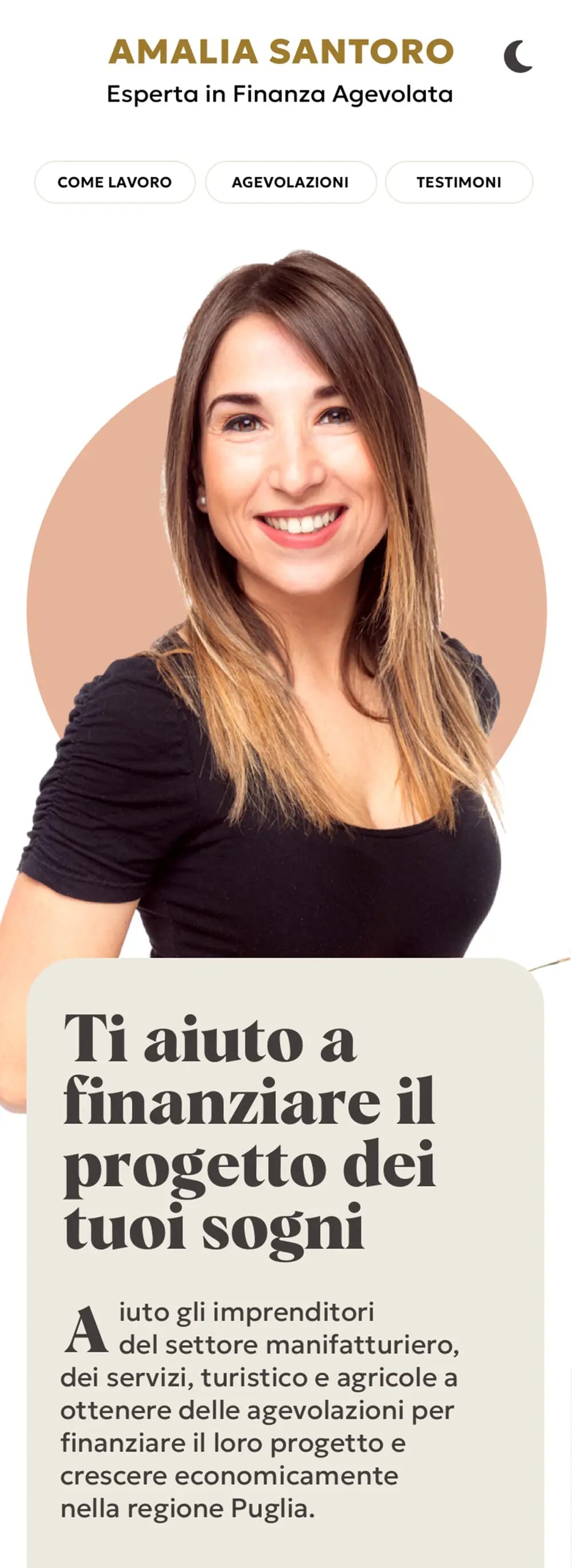 Amalia's website high-fi mobile design.