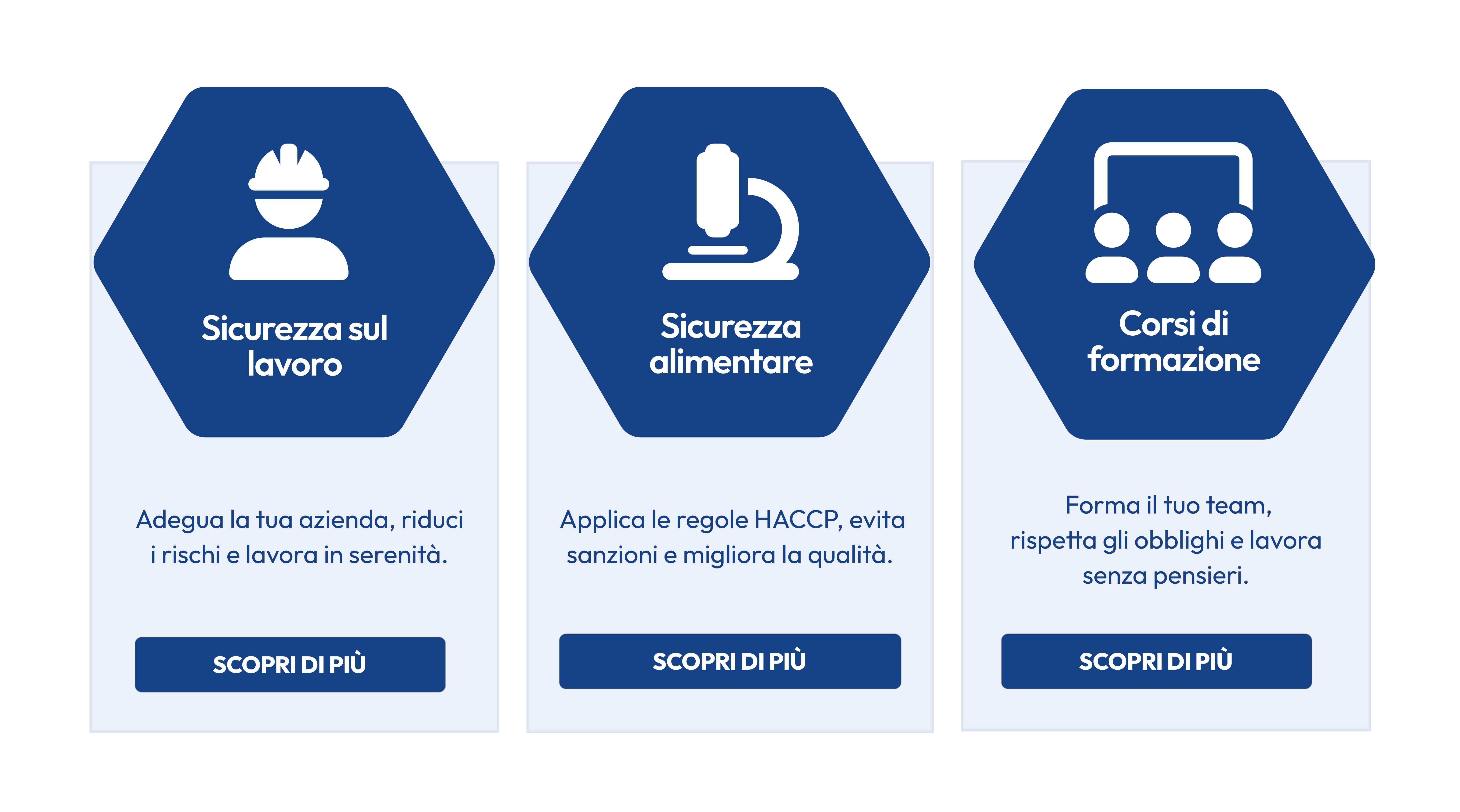 Consultancy services represented with custom icons.